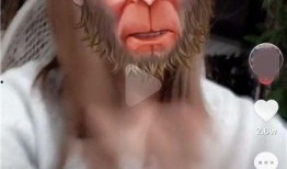 抖音猪八戒爆料视频在线观看,揭秘幕后故事，带你走进猪八戒的世界